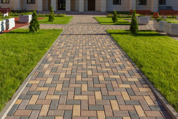 Reasons to Select Us for Your Driveway Paving Requirements in Kershaw, SC